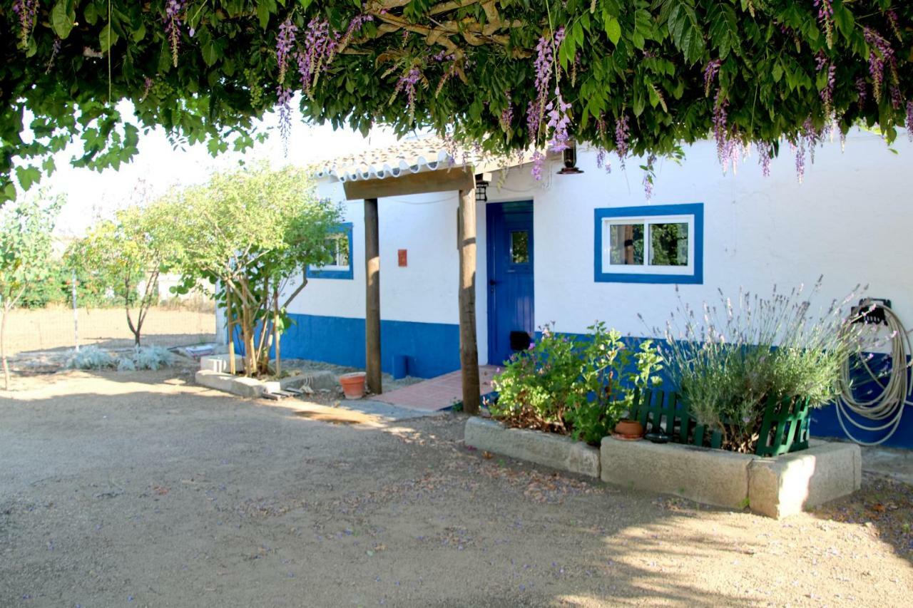 Monte Da Contenda Campo Maior Exteriör bild