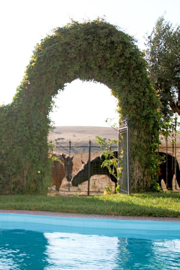 Monte Da Contenda Campo Maior Exteriör bild